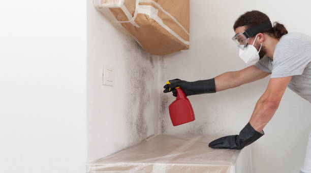 Professional Bathroom Mold Removal technician working in Garden City, NY