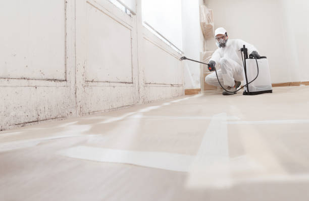24/7 Emergency Bathroom Mold Removal experts in Garden City, NY